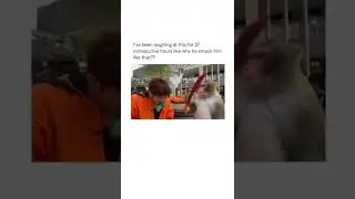 He is a mean monkey #tiktok #funny #comedy #tiktokvideo #youtubeshorts #youtube #instagram #monkey