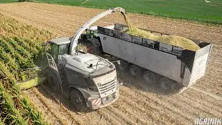 La nuova Claas Jaguar 970 Black del Team Mason | Trinciato Mais 2022