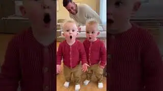 Twin Toddlers See Newborn Twins&hellip; Total SHOCK 😱😂