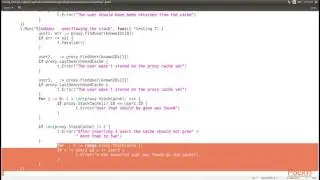 Introduction to Go Classical Patterns : Proxy Design Pattern | packtpub.com