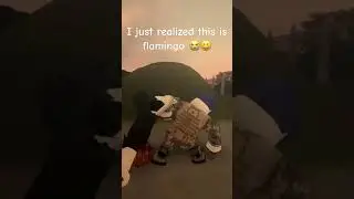 Flamingos in the last guest #roblox #Forsaken #guest #thelastguest #memes #flamingo #funny #edit