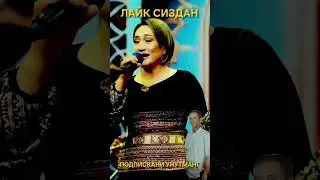 29 января 2026 г.#той #хари #свадьба #тикток #rek  #aktivler #azeaktive #хиты #танцы #travel #usa 