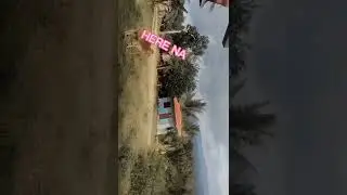 #vlogging #happysaturdaystatus