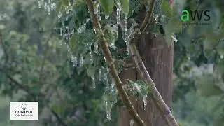 AWS   CONTROL DE HELADAS en cultivo de Membrillo