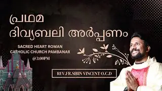 FIRST HOLY MASS || REV.FR.SIBIN VINCENT O.C.D