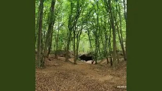 ca va paye un jour