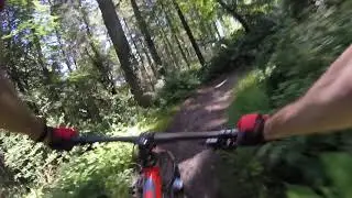 Lanhydrock Timber trail