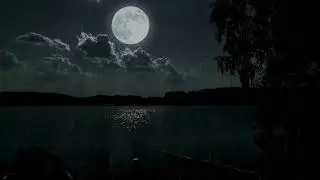 🌙 Peaceful Rainfall under the Shimmering Moon Calm Water Reflections for Deep Relaxation 10 Hours