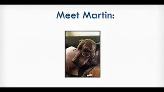 Meet Martin: Analyzing an EdTech Privacy Policy