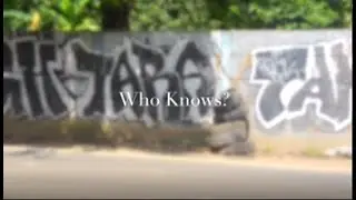 Who Knows ? - Cinem - X IPA 9