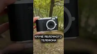 Цифровой фотоаппарат с ВАЛБЕРИС арт:376989304 #wildberries #находкисвб #находки #обзоры распаковки