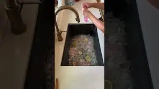 How To Clean Your Kitchen Sink AND Garbage Disposal👍🏼