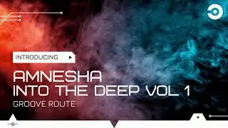 Into the deep vol 1 ( mini mix ) feat. Amnesha