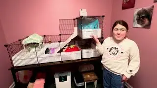 Guinea Pig Cage Setup. Meet my New Guinea pigs!  #guineapig #guineapigslove #spiritanimals 