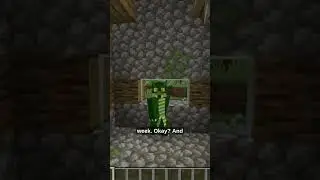 The Mini's SMP