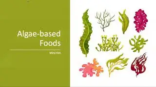 Future Food: Algae Based Foods