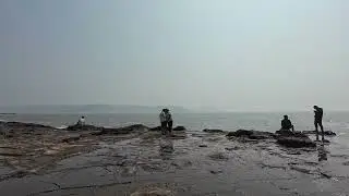 Roaming around at Beach