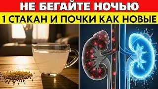 ПОЧКИ 
