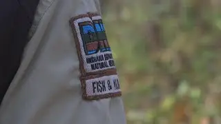 EHD's impact on deer hunting season