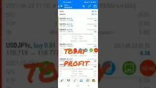 forex robot performance