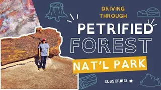 Dashcam Drive Through Petrified Forest National Park | Arizona National Park Tour