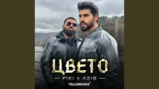 Tsveto