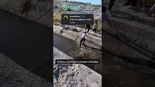 ➡️ En Y&uuml;ksek Oranlar ile Bahsini Al Kazancın Tadını &Ccedil;ıkar!