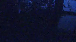 Eagle Cam #4 - Baron Blue - White Tailed Eagles Nest Live