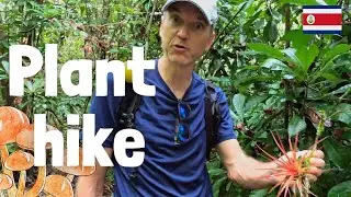 Botanical Hike in Carara National Park, Costa Rica
