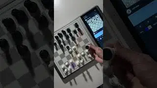 Chess, Now in Motion and Color #chess #chessnut #chessgame#chessgame