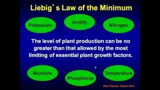 Building and Maintaining Soil Fertility in Times of High Input Costs