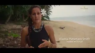 The fight against rising tides - Black Pearls in the Cook Islands