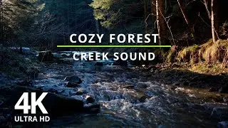 4K Cozy Forest Creek Sound - 2 Hours Natural Water Sound For Sleep, Study, Relax