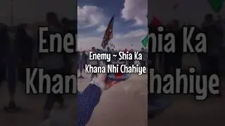 B.U.L.B 🖐️🔥 | Shia Status For WhatsApp #shorts