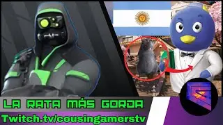 Cricro Descubre La Rata Más Gorda Vista Hasta El Momento