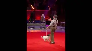 Wolfgang Lauenburger - Dressage de Chiens - 47&ordm; Festival International du Cirque de Monte-Carlo 2025