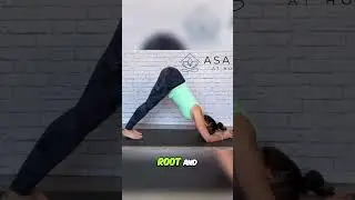 Dolphin Pose Yoga Tutorial: Get Your Hips High!
