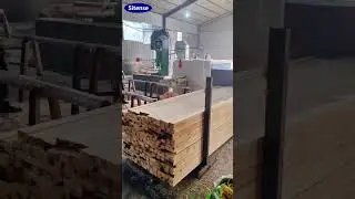 Fully Automatic Square Wood Multi Blade Saw for Sale