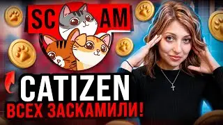 Catizen &ndash; SCAM??? Обманули всех пользователей!