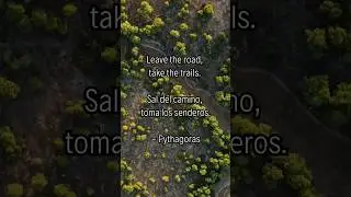 Go your own path, take the trails / Motivational nature