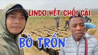 LinDo Cùng Ekip Bỏ Trốn Tem Châu Phi Quang Linh 