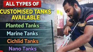 AQUARIUM TANK FOR SALE / ZERO SILICON PASTING/ 3ft TANK AT OFFER PRICE / ROYAL AQUATICS INDIA /தமிழ்
