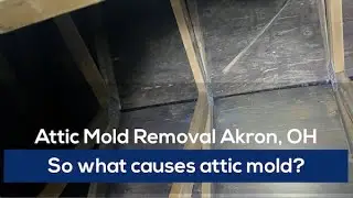 AKRON OH ATTIC MOLD REMOVAL