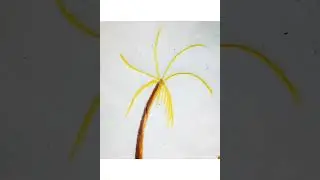 How to draw coconut tree easy#different