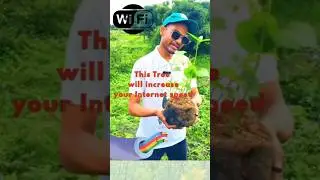 How this tree can increase the internet speed. #shorts