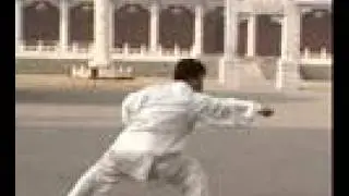 Ma Style Tongbei Cui Ba Fan (Quick 8 Dodges) Fanzi Quan