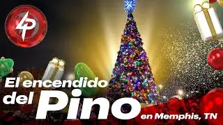 Memphis se ilumina, Encendido del Pino en Downtown