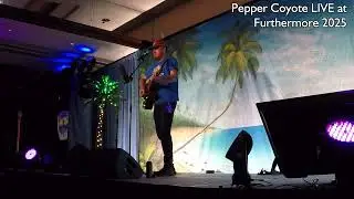 Pepper Coyote - Furthemore 2025