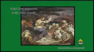 Собор Святого Павла &mdash; ежедневная месса и проповедь &mdash; священник Дэниел Уолш &mdash; 11 ноября 2025 г.