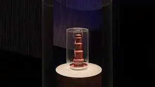 Chocolate Fountain at Chocolate Nation Museum, Antwerp, Belgium. #chocolate #art #tasty #sweet